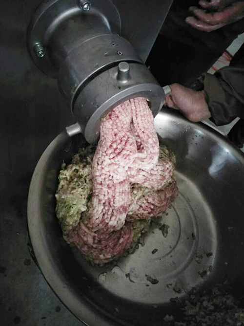 meat grinder machine Testing with pork fat meat & skin &scallion meat grinder machine Testing with pork fat meat & skin &scallion